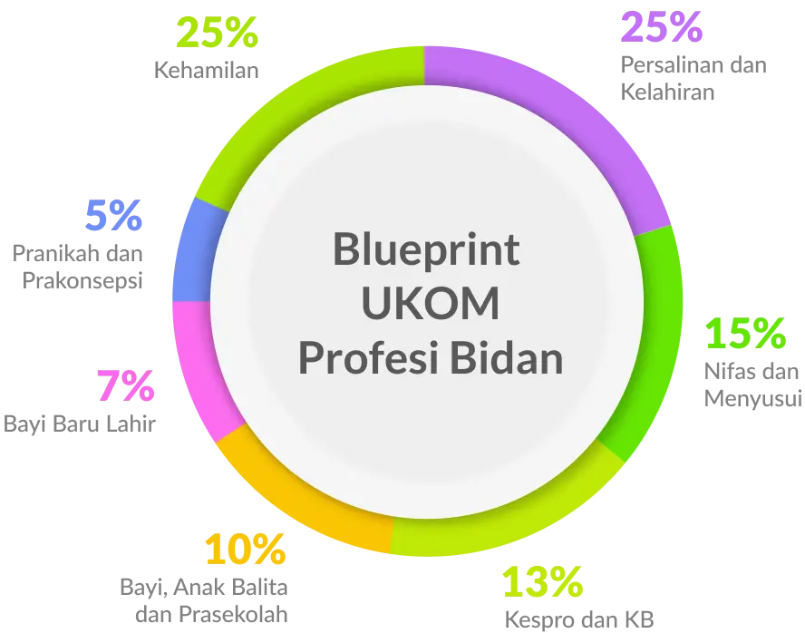 Blueprint Terbaru Profesi Bidan